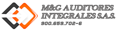 M&G AUDITORES INTEGRALES SAS
